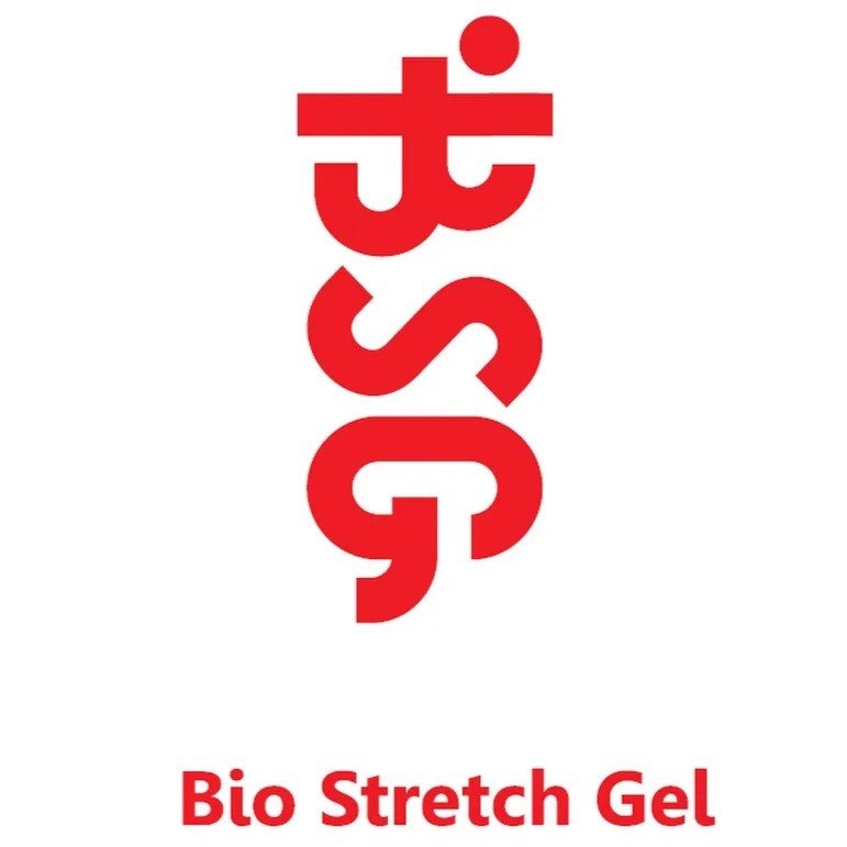 BSG BSG